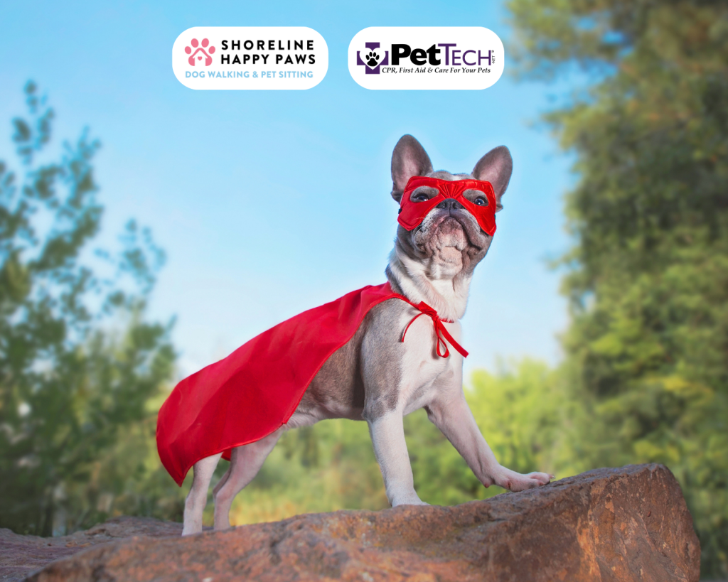 BE YOUR PET'S HERO & LEARN Pet First Aid & CPR